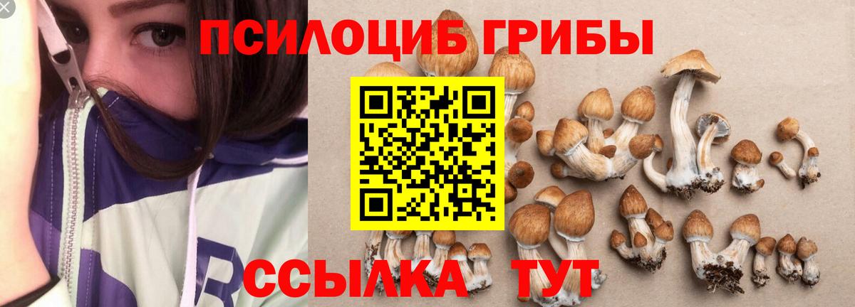 Псилоцибиновые грибы прущие грибы Симферополь